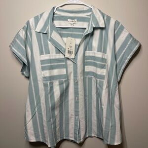 Wonderly Teal and White Striped Shirt